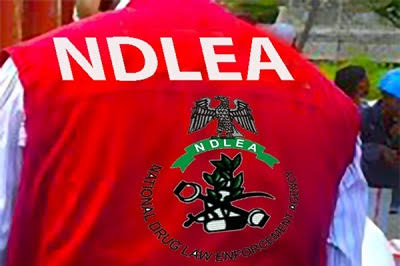 NDLEA Ta Ƙwace Miyagun Ƙwayoyi Masu Darajar Kusan Naira Biliyan 5 a Tashar Onne